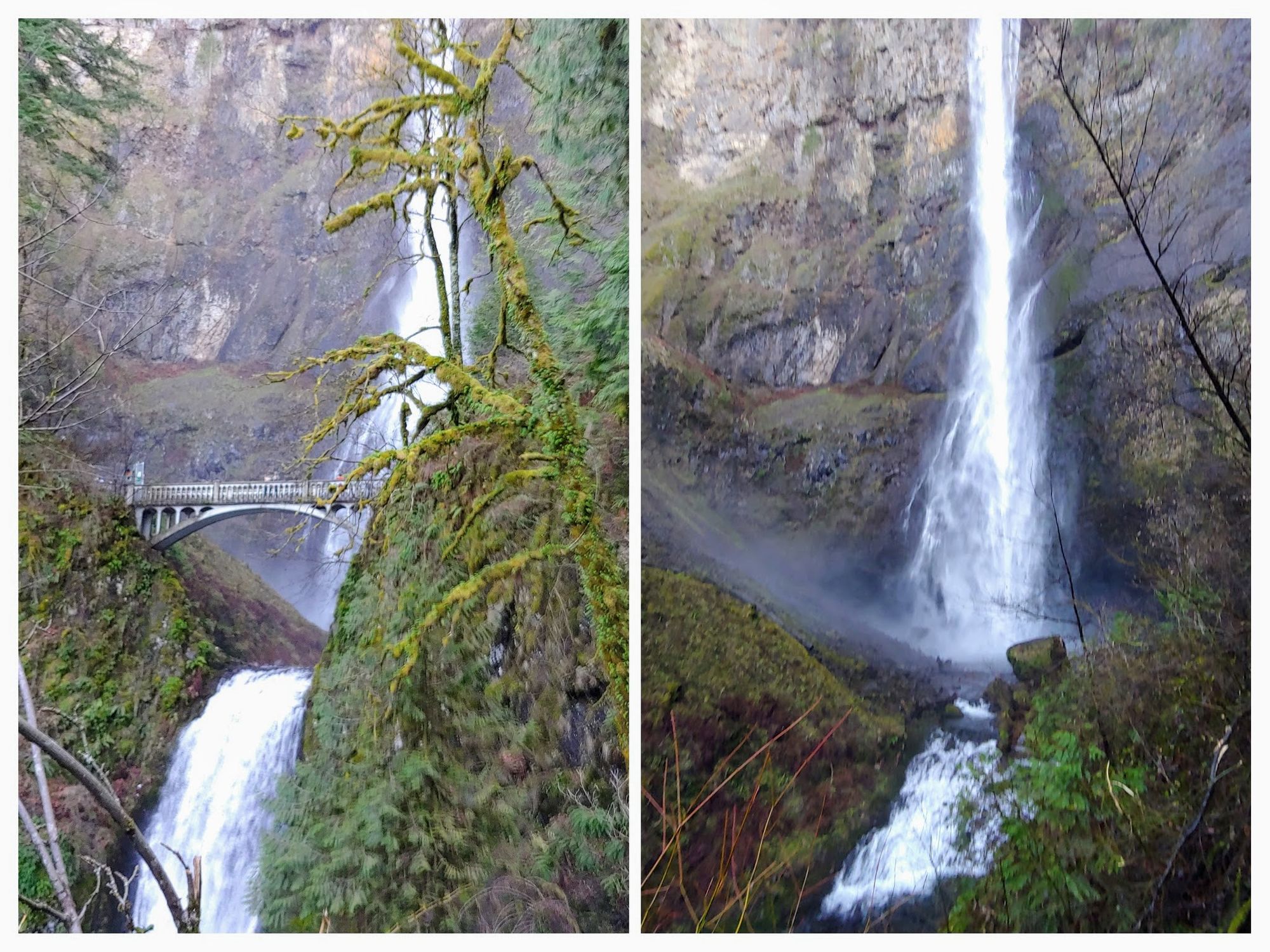 Oregon Waterfalls